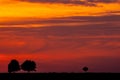 Sunset over rural field Royalty Free Stock Photo