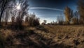 Sunset over the rural meadow, tree branch back lit beautifully generated by AI