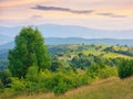 sunset over the rural valley. trees, fields and meadows on rolling hills