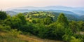 sunset over the rural valley. trees, fields and meadows on rolling hills