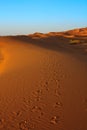 Sunset over Sahara desert Royalty Free Stock Photo