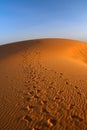 Sunset over Sahara desert Royalty Free Stock Photo