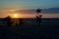 Sunset over the savanna Royalty Free Stock Photo