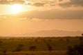 Sunset over the savanna Royalty Free Stock Photo