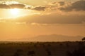 Sunset over the savanna Royalty Free Stock Photo