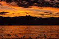 Sunset over sea. Dramatic sky with silhouettes of mountain and resting birds. Lausanne, Switzerland Royalty Free Stock Photo