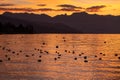 Sunset over sea. Dramatic sky with silhouettes of mountain and resting birds. Lausanne, Switzerland Royalty Free Stock Photo