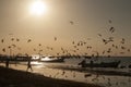 Sunset over the sea in a tropical beach Royalty Free Stock Photo