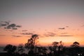 Sunset over the sea - view of a pink sky with purple clouds and contrasting trees Royalty Free Stock Photo