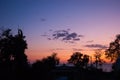 Sunset over the sea - view of a pink sky with purple clouds and contrasting trees Royalty Free Stock Photo