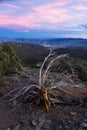 Sunset over the Sierra Nevada Royalty Free Stock Photo