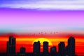 sunset over silhouette city purple red sky background with birds flying back home Royalty Free Stock Photo