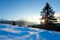 Sunset over snowy meadow in Alps Royalty Free Stock Photo