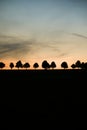 sunset over some tree silhouettes, colorfull sky Royalty Free Stock Photo