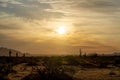 Sunset over the Sonoran Desert of Arizona with saguaro cacti Royalty Free Stock Photo