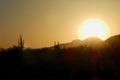 Sunset over The Sonoran Desert: Tonopah, Arizona Royalty Free Stock Photo