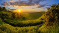Sunset over the South Downs from Butser Hill, Hampshire Royalty Free Stock Photo
