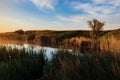 Sunset over a steppe lake. The lake`s shore is overgrown with reeds and sparse trees