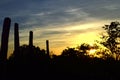 Sunset over stone pillers of Medirigiriya Vatadage, Polonnaruwa, Sri Lanka Royalty Free Stock Photo