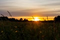 Sunset over the summer meadow. Beautiful scenic sunset with rays of sun shining through clouds in sky. Sun sets over the horizon Royalty Free Stock Photo