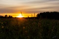 Sunset over the summer meadow. Beautiful scenic sunset with rays of sun shining through clouds in sky. Sun sets over the horizon Royalty Free Stock Photo