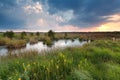 Sunset over swamp in summer