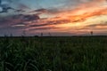 Sunset over the swamp in summer. Landscape of Biebrza National Park in Poland, Europe. Dramatic clouds over the meadow Royalty Free Stock Photo