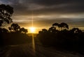 Sunset over Tasmanian forest and dirt road Royalty Free Stock Photo