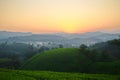 Sunset over tea plantations Royalty Free Stock Photo