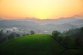 Sunset over tea plantations Royalty Free Stock Photo