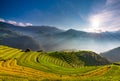 Sunset over Terraced rice field, Mu Cang Chai, Yen Bai, Vietnam