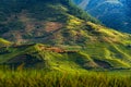 Terraced rice fields at sunset, Mu Cang Chai, Yen Bai, Vietnam Royalty Free Stock Photo