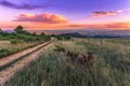 Sunset Over The Thorns Royalty Free Stock Photo