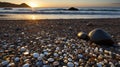 Pebble Beach Serenity: A Golden Sunset Over Smooth Stones and Gentle Waves Royalty Free Stock Photo