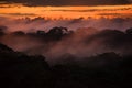 Sunset over trees of Amazon basin