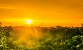 Sunset over the trees in the brazilian rainforest of Amazonas Royalty Free Stock Photo