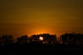 Sunset over trees with copy space Royalty Free Stock Photo