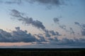 sunset over trees in forest Royalty Free Stock Photo