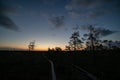 sunset over trees in forest Royalty Free Stock Photo