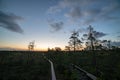 sunset over trees in forest Royalty Free Stock Photo