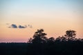 sunset over trees in forest Royalty Free Stock Photo