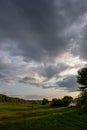 sunset over trees in forest Royalty Free Stock Photo