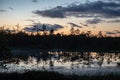 sunset over trees in forest Royalty Free Stock Photo