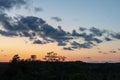 sunset over trees in forest Royalty Free Stock Photo