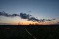 sunset over trees in forest Royalty Free Stock Photo