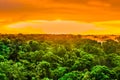 Sunset over the trees of the rain forest in Brazil