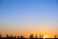 Sunset over trees silhouettes. Royalty Free Stock Photo