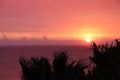 sunset over the Tyrrhenian sea with orange sky and palm trees Royalty Free Stock Photo