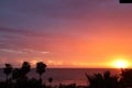 sunset over the Tyrrhenian sea with orange sky and palm trees Royalty Free Stock Photo