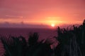 sunset over the Tyrrhenian sea with orange sky and palm trees Royalty Free Stock Photo